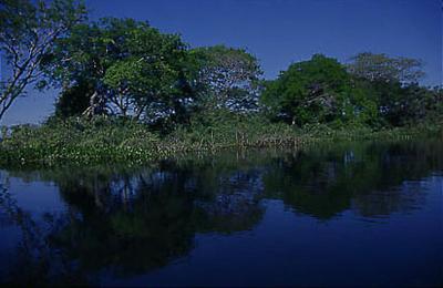 Série Xingu - Aspectos da natureza