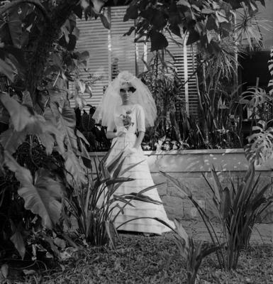 Casamento de Julia Maria do Valle Perelia