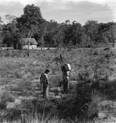 Série "Estrada de Ferro Tocantins"