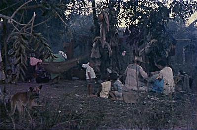 Série Guimarães Rosa