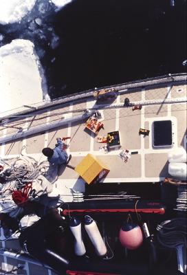 Aventuras de Igor na Antártida