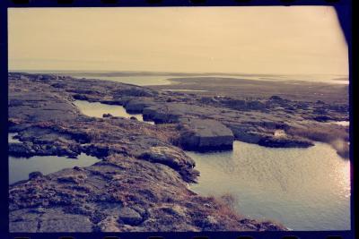 Viagem com a bióloga Livia Monami para registrar a caça da baleia branca