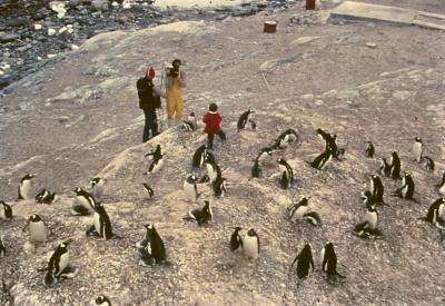 Jorge Bodanzky e Serge Guitton filmam Igor Belli