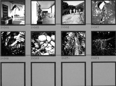 Visita de Pablo Neruda ao Sítio Burle Marx