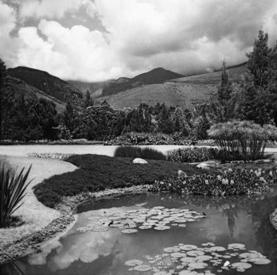 Residência de Carlos Somlo, projeto paisagístico de Burle Marx