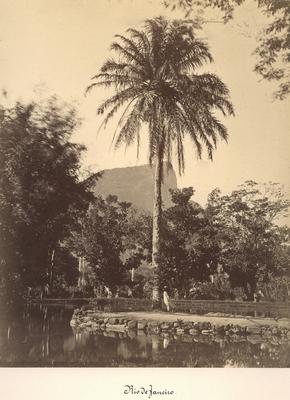 Jardim Botânico do Rio de Janeiro