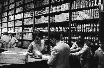 Família Paulista #09