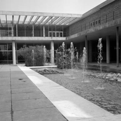 Museu de Arte Moderna - MAM