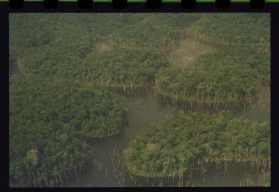 Vista aérea de Manaus