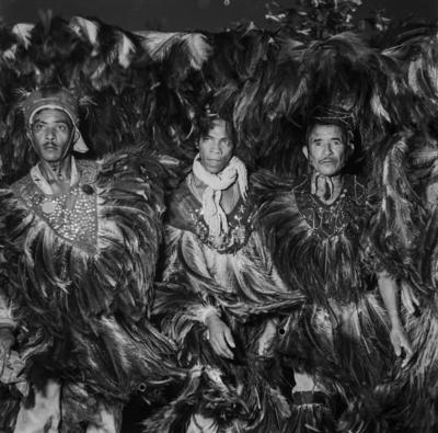 Bumba meu boi, festa popular