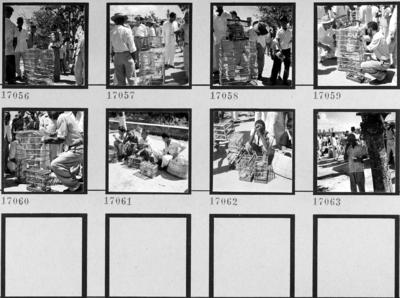 Feira dos Passarinhos