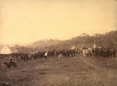 Tropas revolucionárias brasileiras