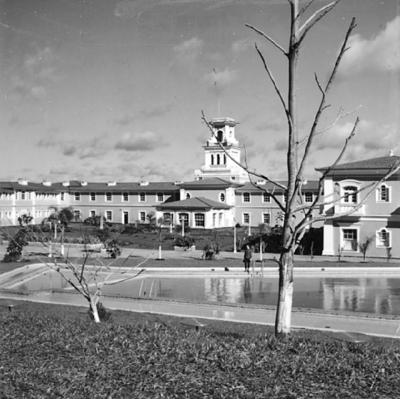 Série "Cataratas do Iguaçu"