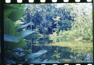 Projeto "Navegar Amazônia"