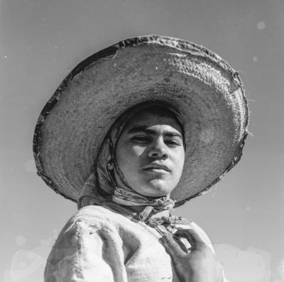 Lavoura canavieira, trabalhadores