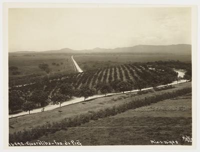 Fazenda da prefeitura em Guaratiba, atual Fazenda Modelo