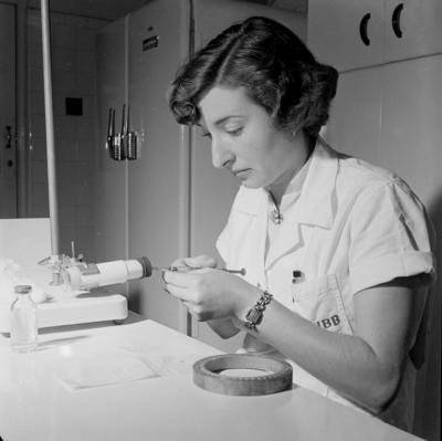 Squibb - funcionários