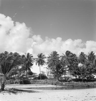 Jangadas e jangadeiros