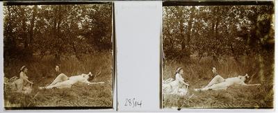 Estereoscopia erótica