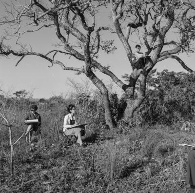 Estudantes da Universidade de Brasília