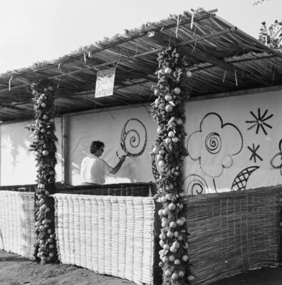 Roberto Burle Marx nos preparativos da festa junina do Sítio Burle Marx
