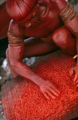 Série Xingu - Homem do povo Mehinako prepara a pasta de urucum