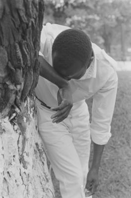 Haldir como Cézanne