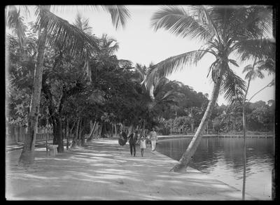 Curva da praia dos Tamoios, antes de chegar ao atual Parque dos Tamoios