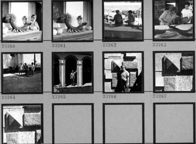 Burle Marx no Sítio Burle Marx