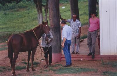 Pessoas em volta de cavalo, de camisa azul e calça jeans, Kim Esteve