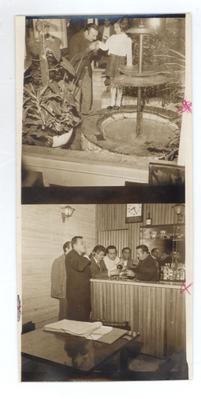 Carlos Galhardo (contatos)