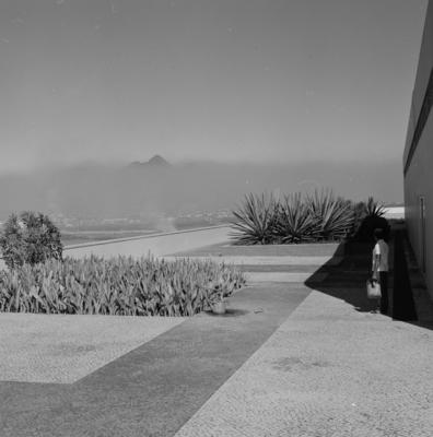 Cidade Universitária, projeto de Jorge Machado Moreira e Burle Marx