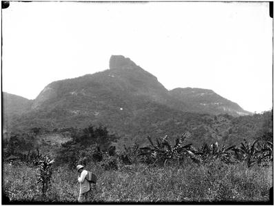 Vista da Pedra da Gávea