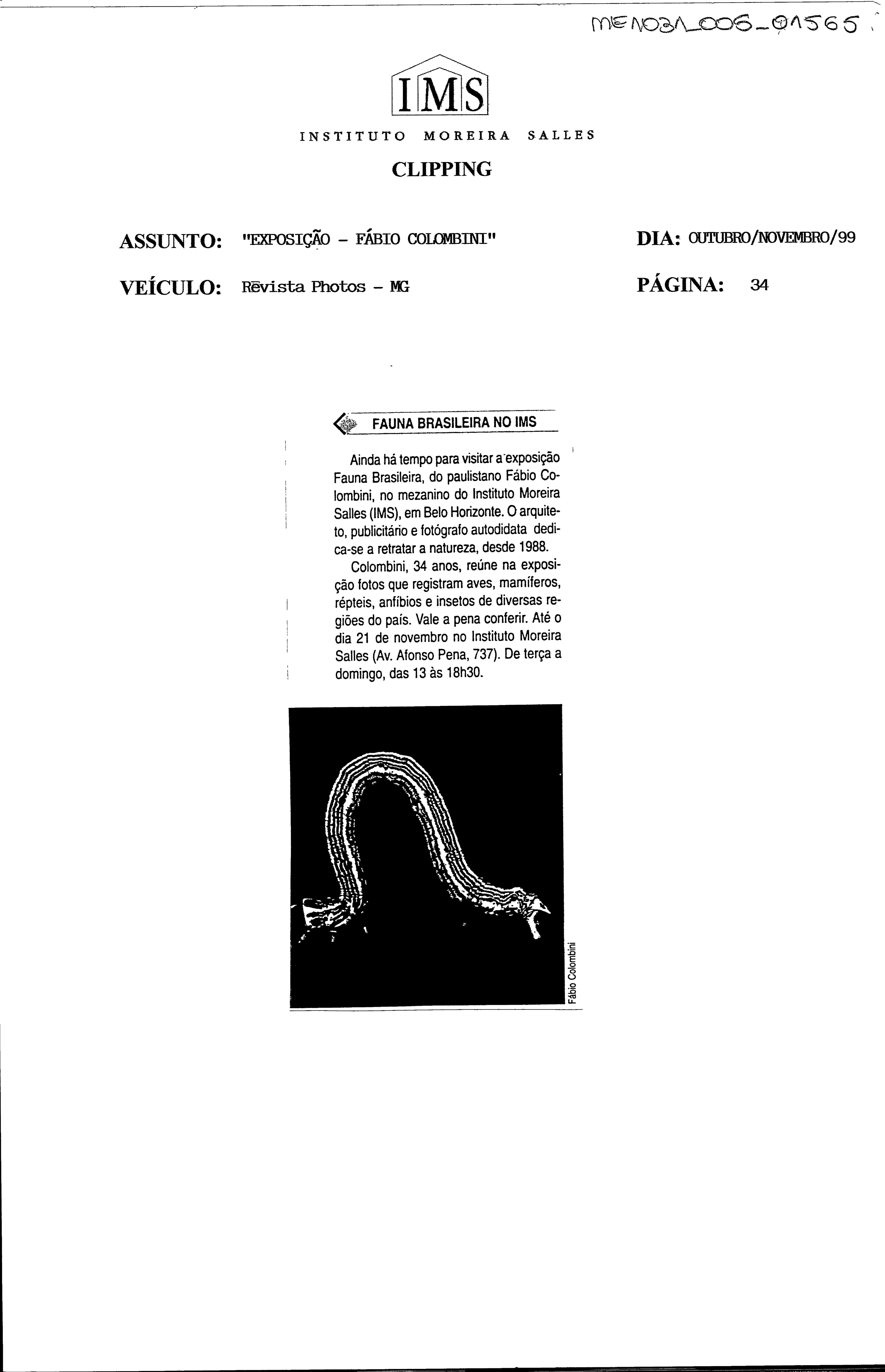 Fauna Brasileira no IMS