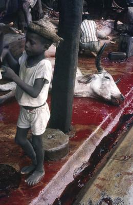 Série Bahia Antiga e Nova - Matadouro