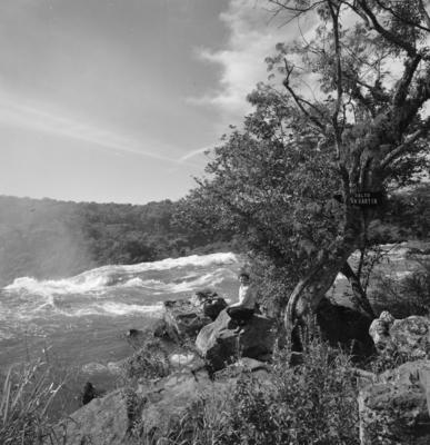 Série "Cataratas do Iguaçu"