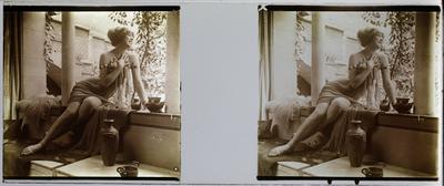 Estereoscopia erótica