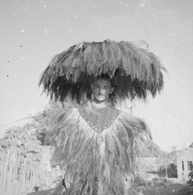 Bumba meu boi, festa popular