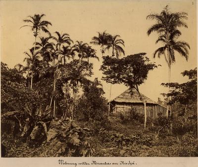 Habitação de indígenas do povo Miranha; na antiga Província do Alto Amazonas