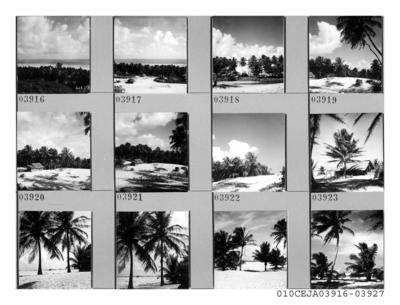 Jangadas e jangadeiros