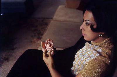 Série Retratos - Elizeth Cardoso