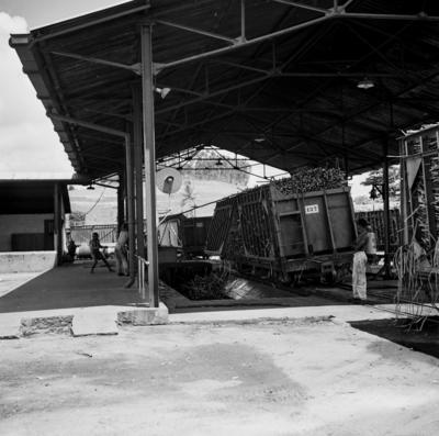 Usina Central Barreiros