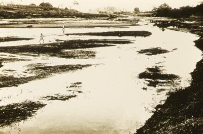 Proximidades do Engenho Itapuá