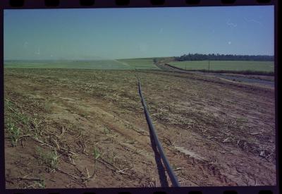 Produção de filme institucional sobre usinas de açúcar