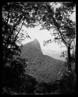 Morro do Corcovado; tomado da Floresta da Tijuca