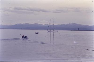 Aventuras de Igor na Antártida