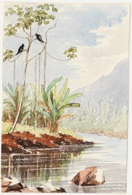 (Estrada para Cascatinha)