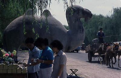 Série China - Jardins do Mausoléu da Dinastia Ming