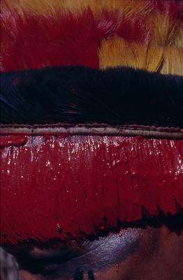 Série Xingu - Homem adornado para a Festa do Jawari