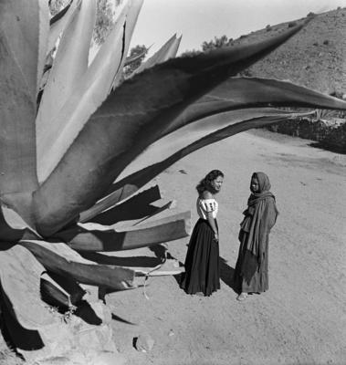 Mulheres à sombra dos magueys